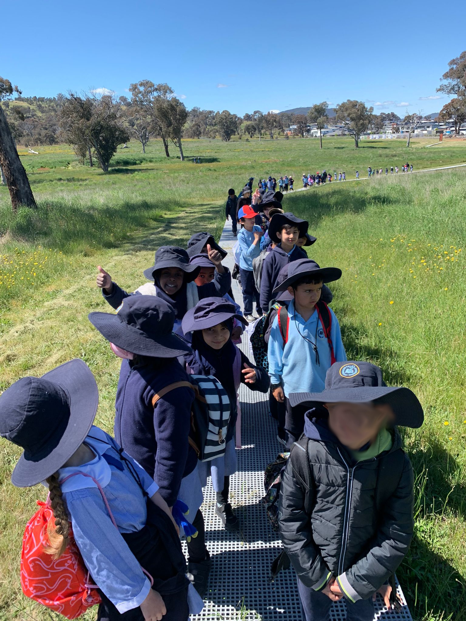 Students learning about the different widlife