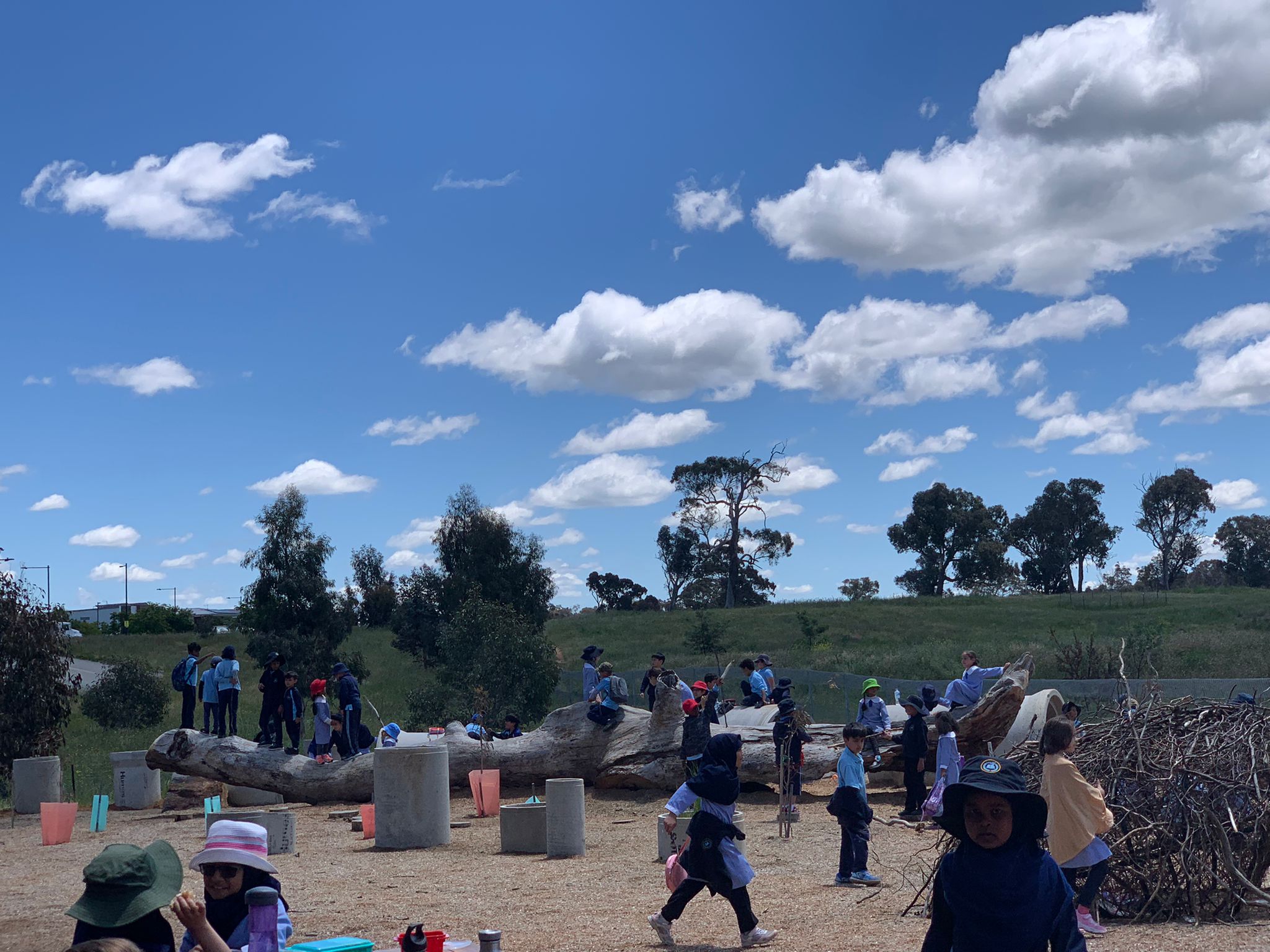 Students learning about the different widlife