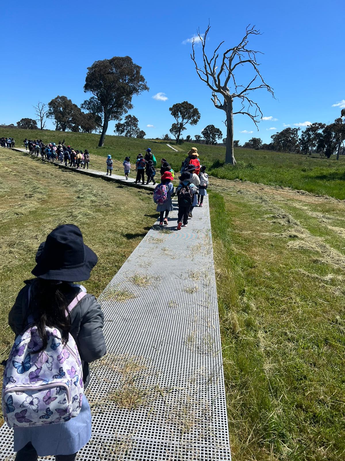 Students learning about the different widlife